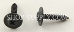 Black Phosphate Finish Trim Screws 4